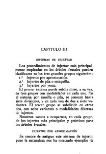 CAPITULO III EI primer sistema puede subdividirse, a su vez, en tres