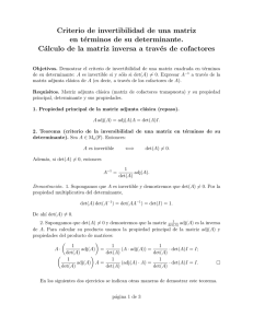 Criterio de invertibilidad de una matriz en términos de su