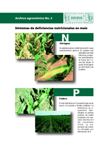 Archivo agronómico No. 2 Síntomas de deficiencias nutricionales en