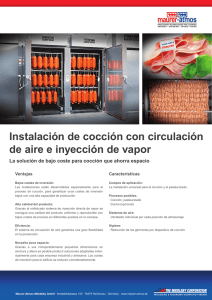 Instalación de cocción con circulación de aire e inyección de vapor