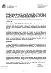 contestacion a la consulta planteada por el fondo andaluz
