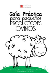 Guía práctica para pequeños productores ovinos