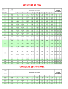 SECCIONES DE RIEL CRANE RAIL SECTION DATA