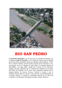 RIO SAN PEDRO
