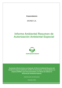 Informe Ambiental Resumen de Autorización Ambiental Especial