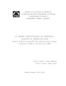 El AMPARO CONSTITUCIONAL EN VENEZUELA