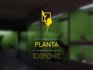 PLANTA EXPONE