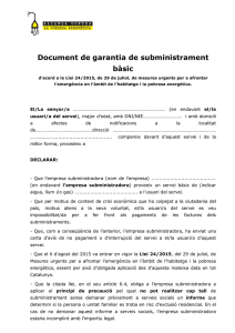Document de garantia de subministrament bàsic
