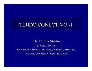 tejido conectivo -1 - Facultad de Ciencias Médicas