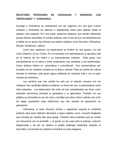 RECETARIO TEPEHUANO DE CHIHUAHUA Y DURANGO: LOS