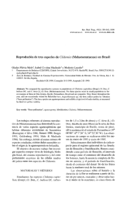 Reprodución de tres especies de Clidemia(Melastomataceae) en