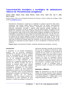 clínicos de Pseudomonas aeruginosa