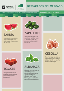 cebolla tomate - Mercado Modelo