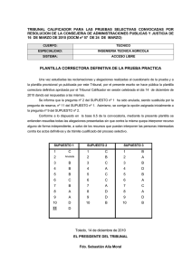 PLANTILLA CORRECTORA DEFINITIVA DE LA PRUEBA PRACTICA