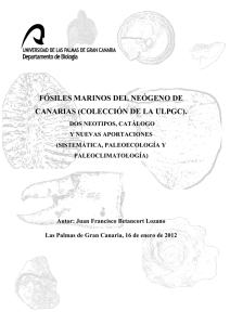 Fósiles marinos del Neógeno de Canarias - Acceda