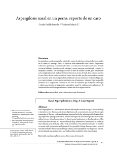 Aspergilosis nasal en un perro: reporte de un caso