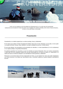 2012 Groenlandia. Rastreo osos polar