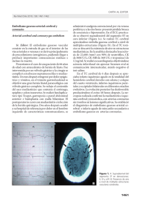 1461 Embolismo gaseoso arterial cerebral y coronario Arterial
