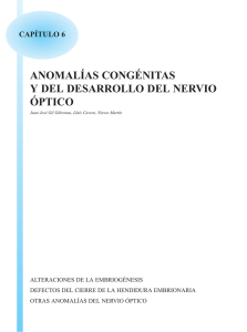 anomalías congénitas y del desarrollo del nervio óptico