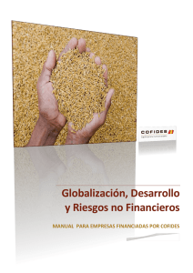Globalización, Desarrollo y Riesgos no Financieros