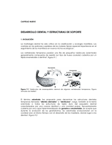PDF (Desarrollo dental y estructuras de soporte)