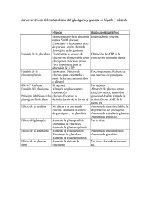 Características del metabolismo del glucógeno y glucosa en hígado
