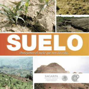 Procesos de degradación del suelo en México: erosión eólica e