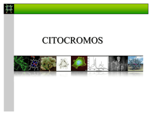 citocromos c
