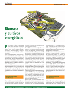 Biomasa y cultivos energéticos