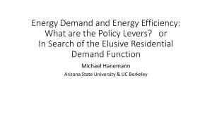 Energy Demand and Energy Efficiency: What are the Policy Levers?