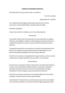 EJEMPLO DE INFORME CIENTÍFICO Entrenamiento de un perro