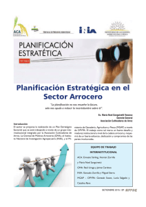 Planificación Estratégica en el Sector Arrocero