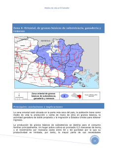 Zona 4: Oriental, de granos básicos de subsistencia, ganadería y