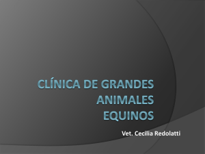CLÍNICA DE GRANDES ANIMALES EQUINOS