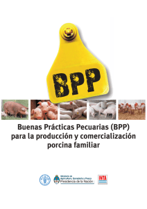 Buenas Prácticas Pecuarias(BPP)para la producción y