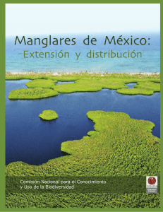Manglares de México - Biodiversidad Mexicana