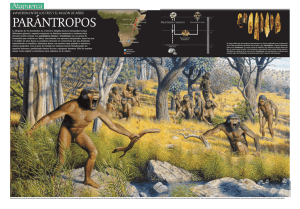 Parantropos - Diario de Atapuerca