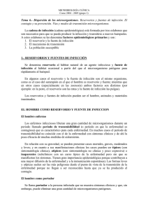 Tema 6 - Universidad Pública de Navarra