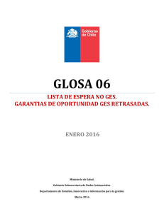 Primer informe glosa 06 2016