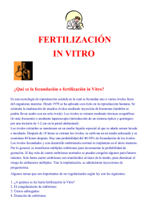 Fertilizacion in Vitro