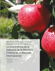 La Importancia de la Industria de la Manzana Chilena en el