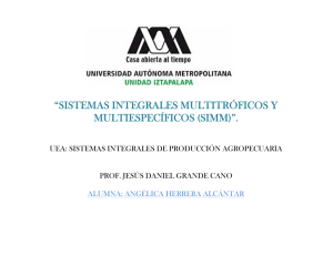 “sistemas integrales multitróficos y multiespecíficos (simm)”.