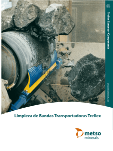 Trellex Bandrengöring Limpieza de Bandas
