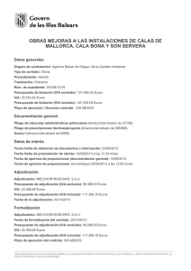 Formalizaciones (PDF de 120KB)