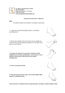 Ejercicios para pies y tobillos - Dr. Miguel Angel Hernández Collados