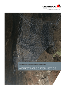 wookey hole catch net, gb