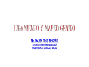 Mapeo Génico