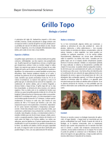 Grillo Topo - Proteccion ambiental