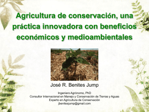 Agricultura de conservación, una práctica innovadora