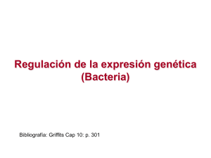 Regulación de la expresión genética (Bacteria)